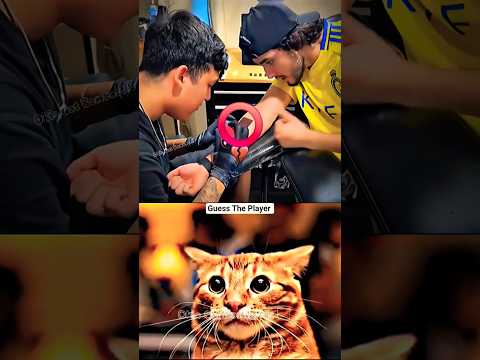 Nothing Beats A Jet2 Holiday Cat Meme Dance Trending Tiktok Nothing Beats A Jet2 Holiday Cat Meme Dance Trending Tiktok