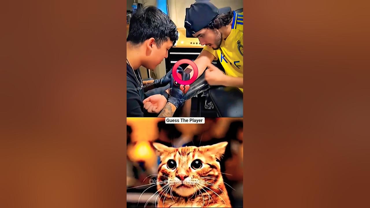 NOTHING BEATS A JET2 HOLIDAY π #cat #meme #dance #trending #tiktok NOTHING BEATS A JET2 HOLIDAY π #cat #meme #dance #trending #tiktok
