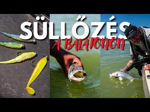 JÚNIUS végi SÜLLŐZÉS a Balatonon | Kucsák Laci