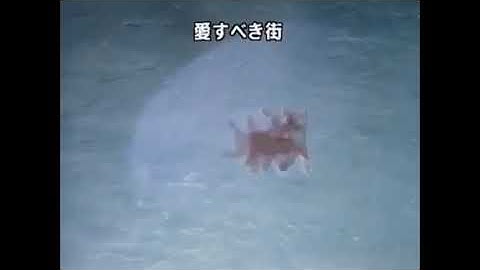 Rex The Runt - Intro (Japanese)