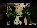 防弾少年団 ジミン成長記録♡♡