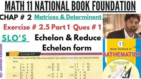 Math 11 | National book foundation | Ex 2.5 Ques 1 | Echelon & Reduce Echelon form #echelon #fbise