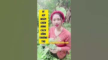 Ngâm chân bằng lá ngải cứu hoặc tinh dầu ngải cứu giúp bạn sống trường thọ