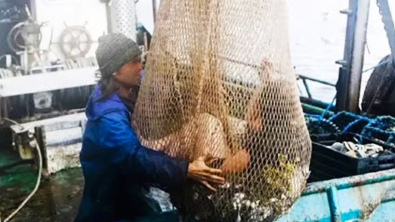 15 Things Humans Were Never Meant To See #3