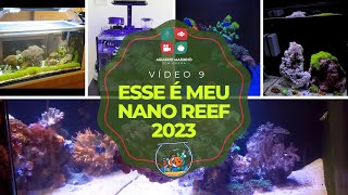 Esse é meu Nano Reef 2023  Vídeo nº9