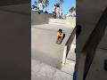 Wrong way to ride  son skateboarding venice beach dad new skateboard reels sk8