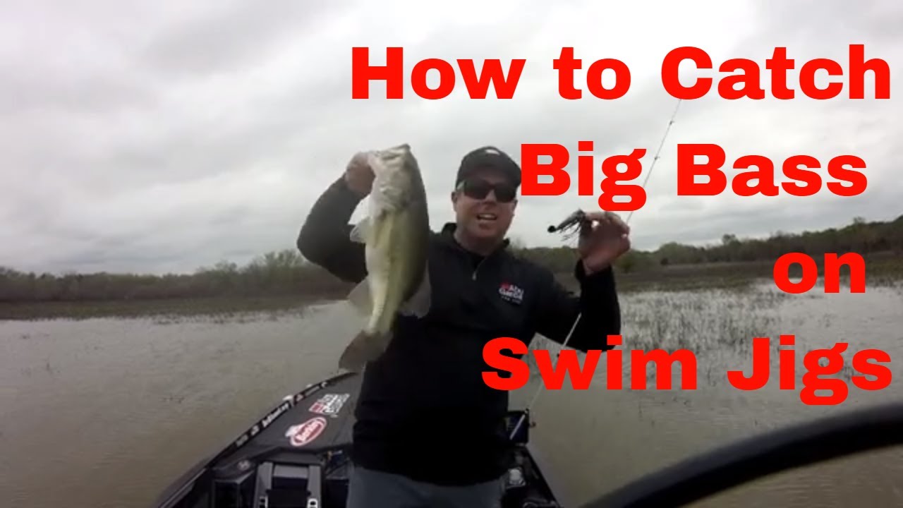 How to Catch Bass on a Swim Jig 