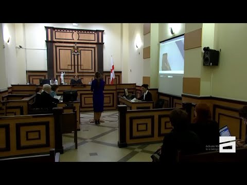 \"რატო, რის გამო მირტყამ გამაგებინე\" | ვიდეო ბასილაშვილ-დოროყაშვილის საქმის სასამართლო სხდომიდან