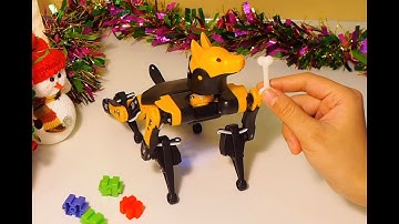 Merry Christmas From Petoi Robot Dog Bittle | PetoiCamp
