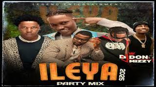 Ileya 2025 Party Mix