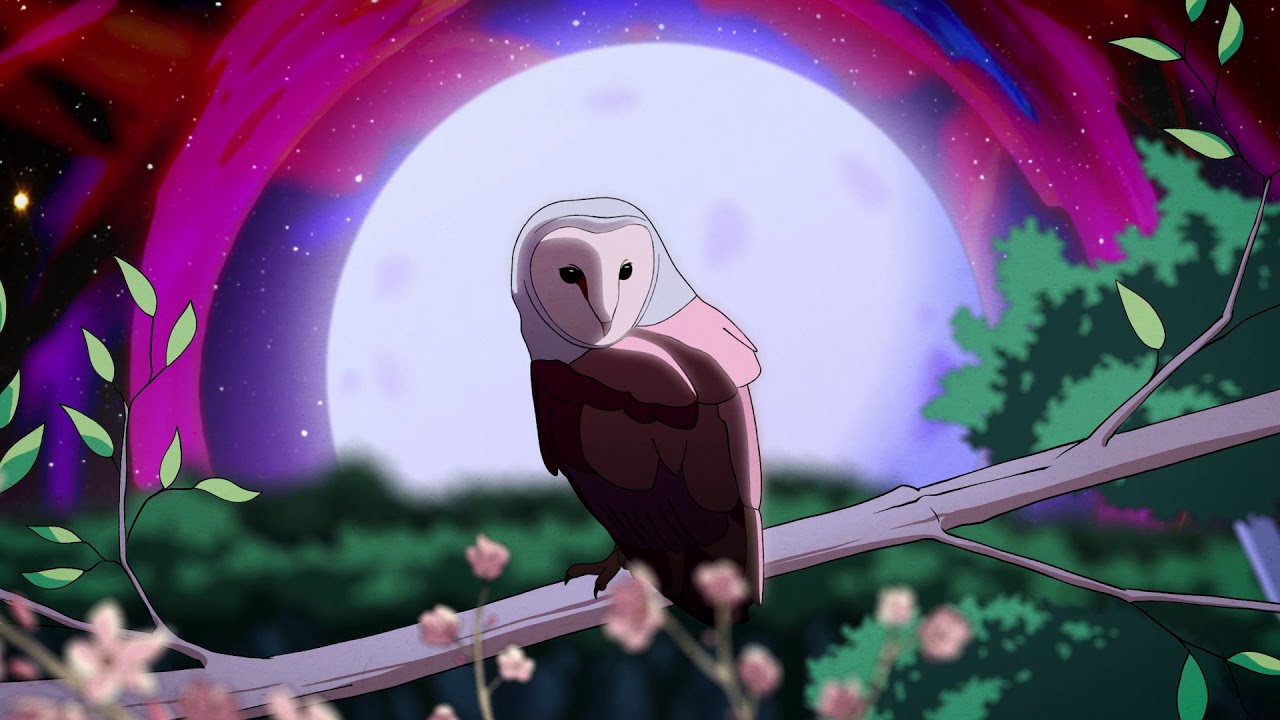 Omari Jazz x Meridian - On Some Moon (Official Visualizer)