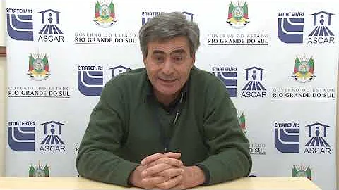 Como vacinar as ovelhas?