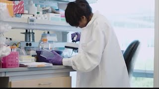 Connect the Dots: What determines a vaccine's effectiveness?