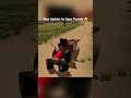 New Update Aa Gaya Hai Finally 😉 #youtubeshorts #indiantractorsimulatorlite #gaming #shortsviral
