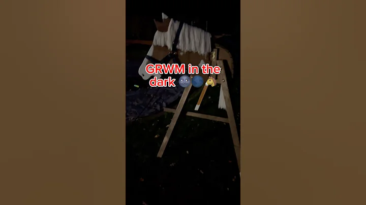 Im Dunkeln🌚🐴 #woodenhorse #holzpferd #viral #fyp #horse #equestrian #pony #grwm #pferd #pferde