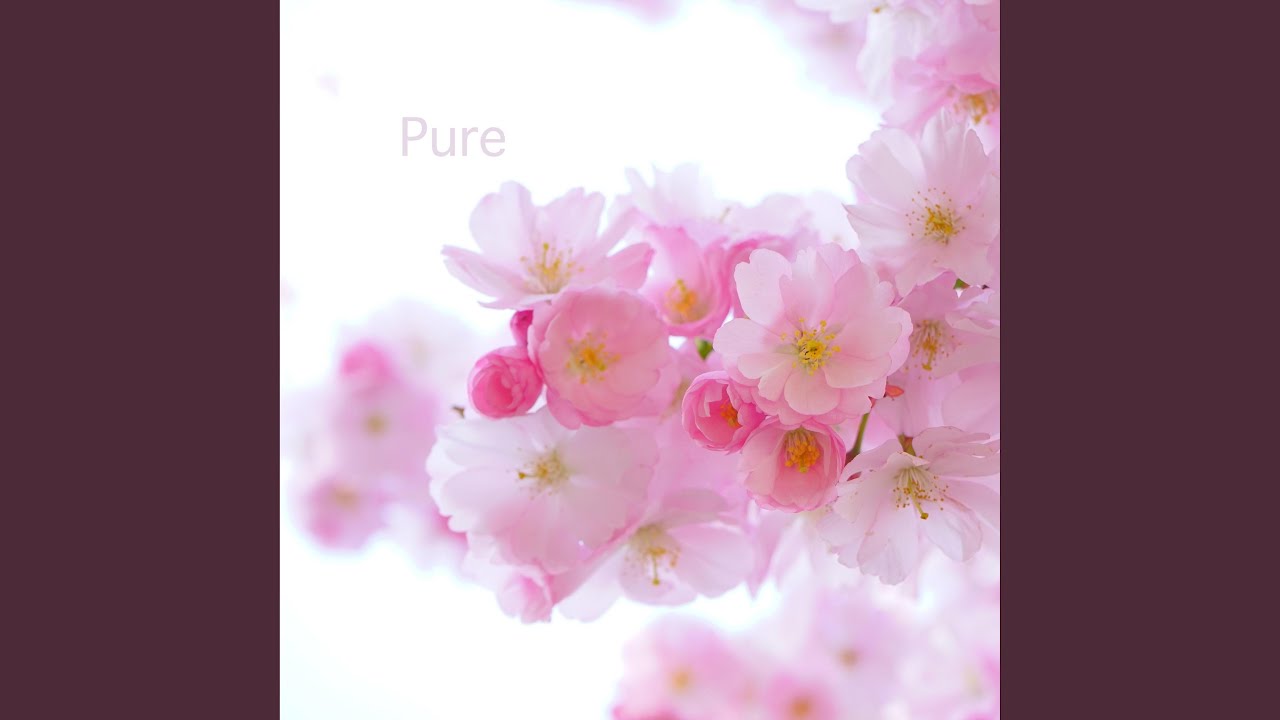 Watch Pure Thoughts on YouTube Watch Pure Thoughts on YouTube