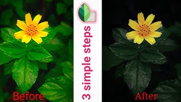 Dark mode & blur background photo editing in Snapseed | mobile photo editing tutorial