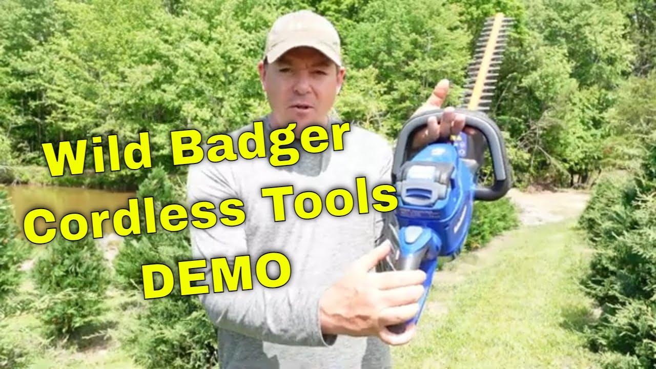  WILD BADGER POWER 40V Weed Wacker, Brush Cutter Blade