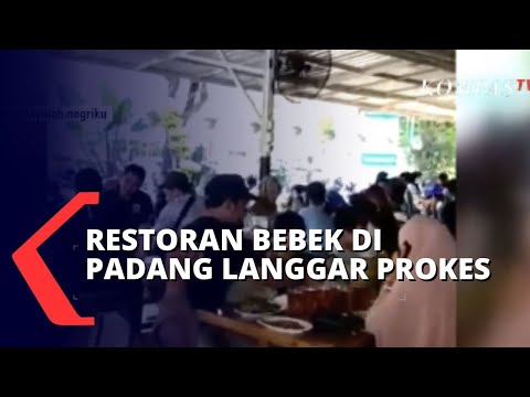 Video: Video Ibu Empat Kali Lipat Yang Disembunyikan Di Dapur Adalah Virus