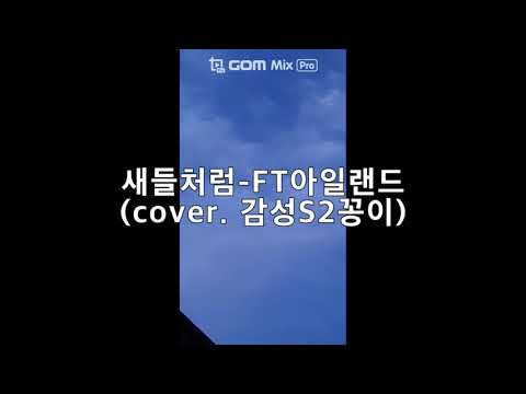 새들처럼 -  FT아일랜드 (cover. 감성S2꽁이)(녹음ver)
