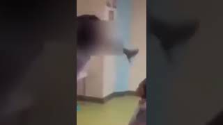 Little Bill Cusses Out Teacher