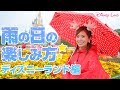 【年パス7年目が教える】雨でも満喫できるディズニーランドの楽しみ方
