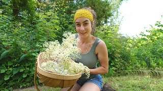 How to make Elderflower Honey | Foraging for Flowers |