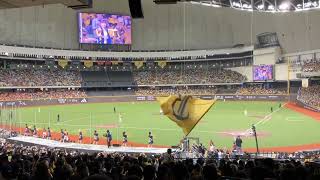 IMG 0622