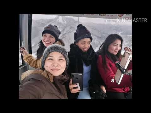 Day 1: Trip to Gala Yuzawa using JR Tokyo Wide Pass 😁