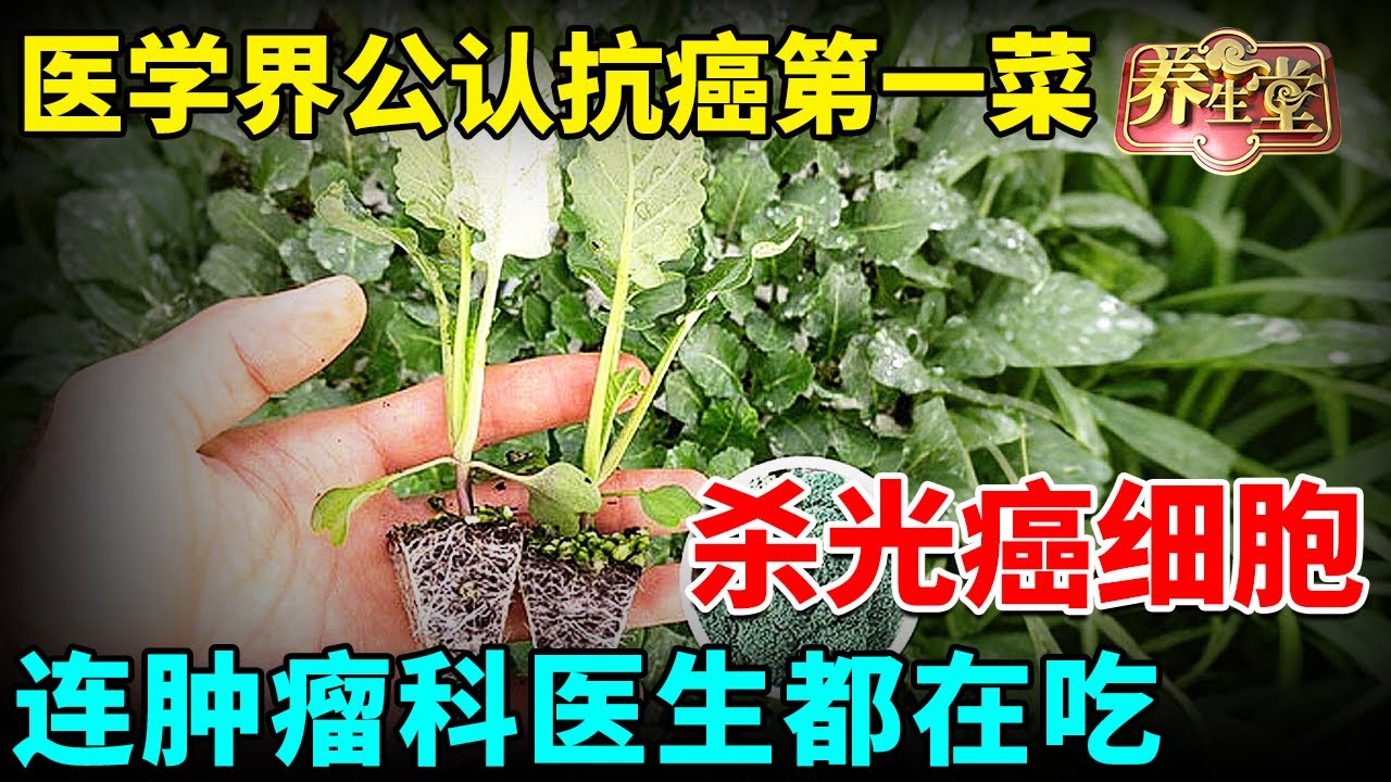 医学界公认抗癌第一菜，3天杀死97%癌细胞，普通人吃完不得癌，连肿瘤科医生都在吃【我是大医生】
