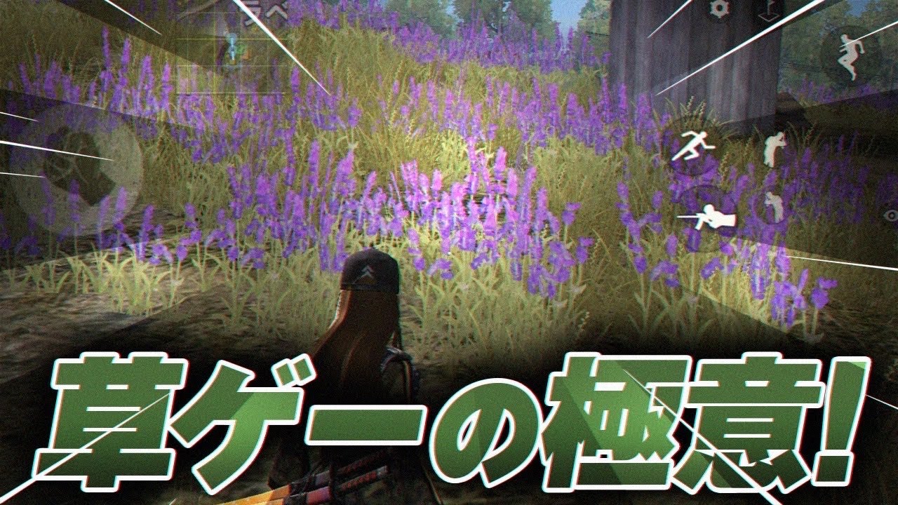 荒野の草① That thing] That grass you see rolling around in Western movies