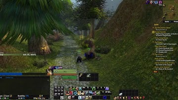 WoW VOID ELF Hunter leveling