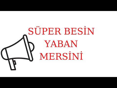 Video: Lowbush Yabanmersini Bilgileri: Lowbush Yabanmersini Bakım Kılavuzu