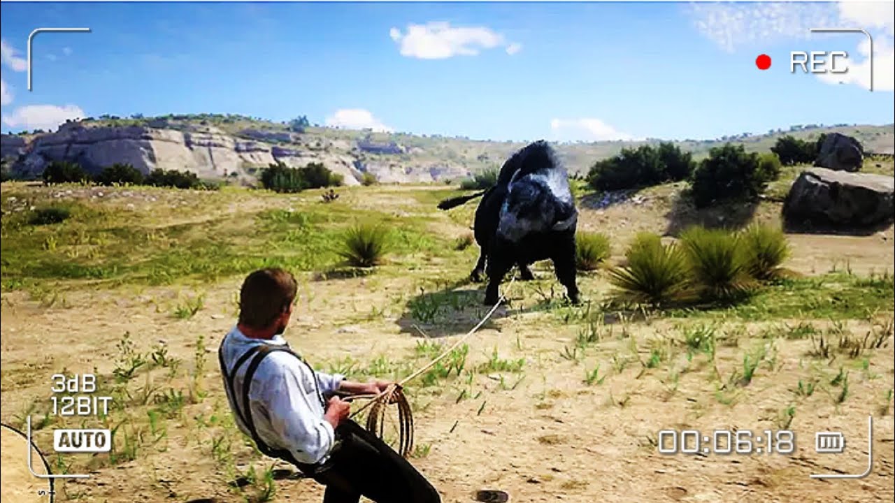 1 Million Dollor Bison Catching , 