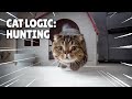 Cat Logic: Hunting | Kittisaurus
