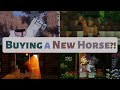 Buying a new horse || Minecraft Equestrian Roleplay