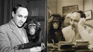 Дезмонд Морис – «Голая обезьяна», аудиокнига
