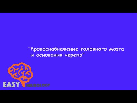 Нейрохирургический цикл. "Кровоснабжение головного мозга и основания черепа"