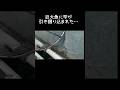 巨大な魚に釣竿が引き摺り込まれた…#fishing #釣り #海上釣堀 #衝撃映像