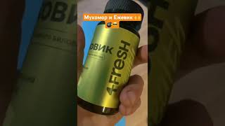 🍄 Муха*ор и Ежевик гребенчатый ПОЛЬЗА #саморозвитие #мухоморныймикродозинг #ежевик #мухоморный