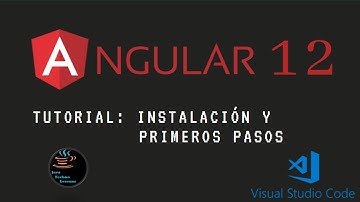 Tutorial cómo instalar y crear un proyecto Angular 12 - Configurar las extensiones VSCode necesarias