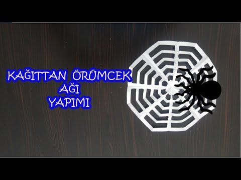 Video: Örümcek Ağı Nasıl örülür