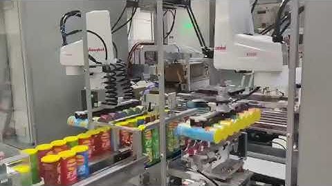 How SCARA & Delta Robots Are Supercharging Factory Productivity!