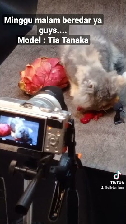 behind the scene. proses shoot tia tanaka.   #short