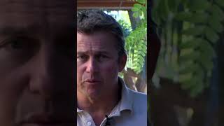 Famous Remembering Navy SEAL Mike Day Net Worth