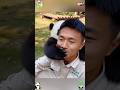 Keeper covers baby panda’s mouth to prevent him from complaining #panda #cute #cutepanda #trending