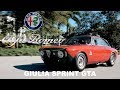 Changes i will be making to my alfa romeo gtv hotrod gta