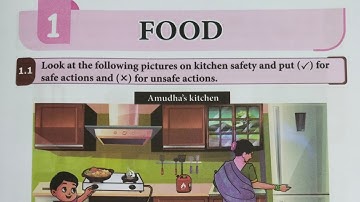 5th std Science Term 2 Unit 1 workbook answers/ 5th science unit 1 Food workbook answers 2025-2026