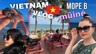 Let's go to the sea in Mui Ne!/Vietnam Day 4/VIETNAM VLOG