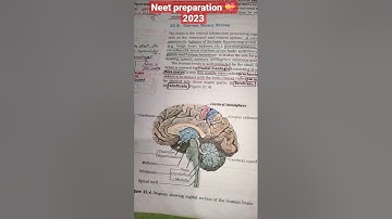 Neural Control And Coordination 🧠🧠🩺 NCERT class 11 #neet2023#neetmotivation#biology#ncertbiology